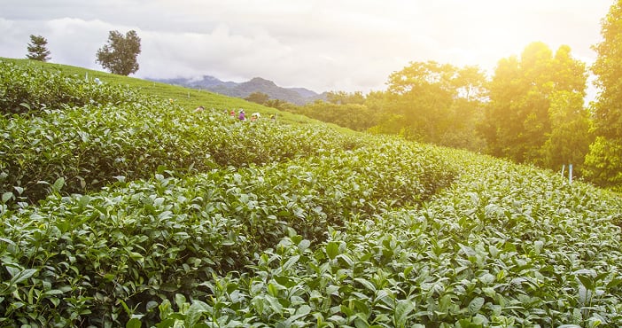 White marble quarry landscape