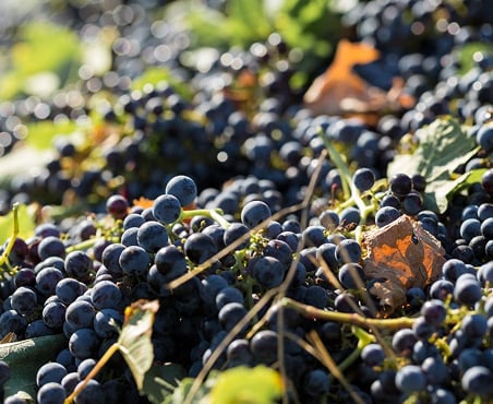 White marble quarry landscape